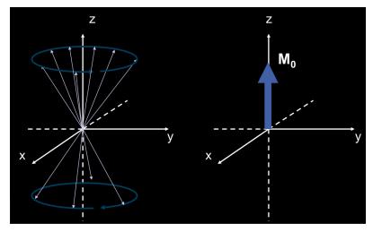 17 Figura 2- Representação dos spins realizando o movimento de precessão na direção do campo principal e a magnetização. Assim, a resultante é perpendicular ao eixo Z e ao campo magnético externo Bo.