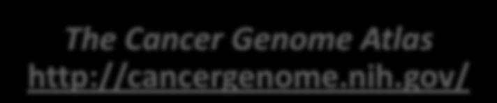 PROJETOS DE SEQUENCIAMENTO DE GENOMAS TUMORAIS International Cancer Genome Consortium http://www.icgc.