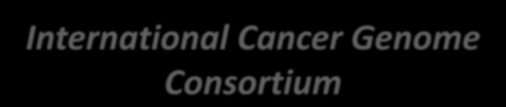 International Cancer Genome Consortium Descrição das