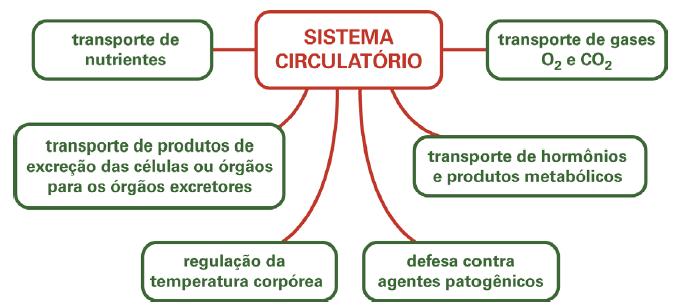 FISIOLOGIA