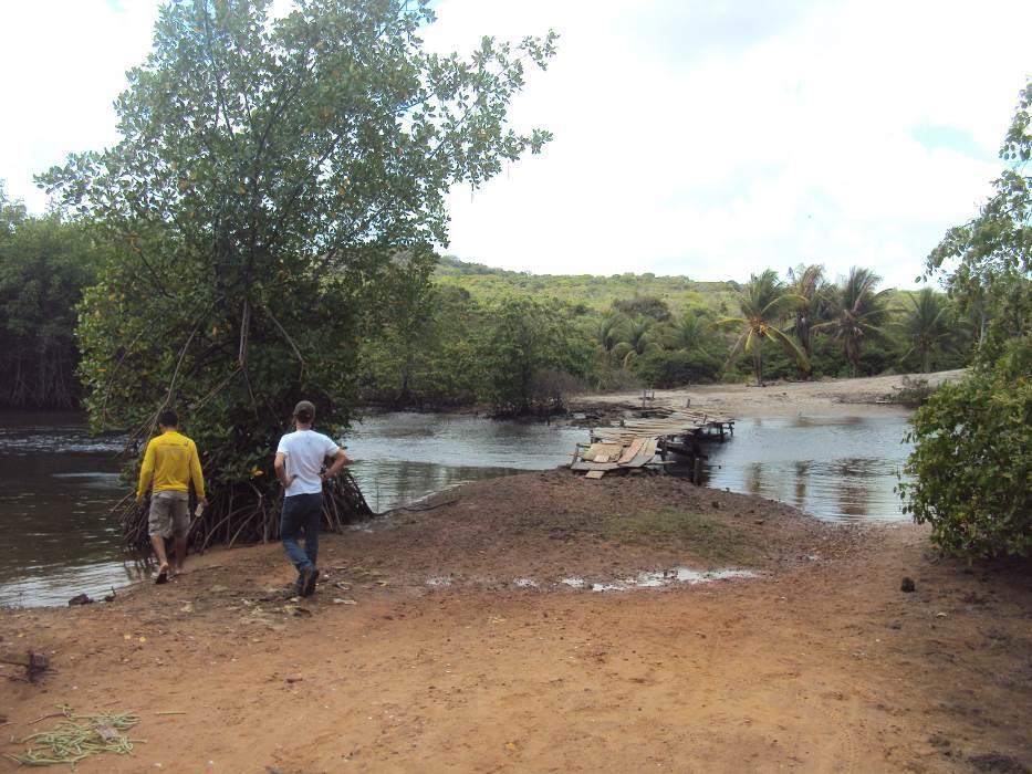 ESTAÇÃO DE MONITORAMENTO PI-03 Localizada no rio Pium, a estação PI-03, em 2015, foi classificada como IMPRÓPRIA para banho, apresentando uma média de 1.