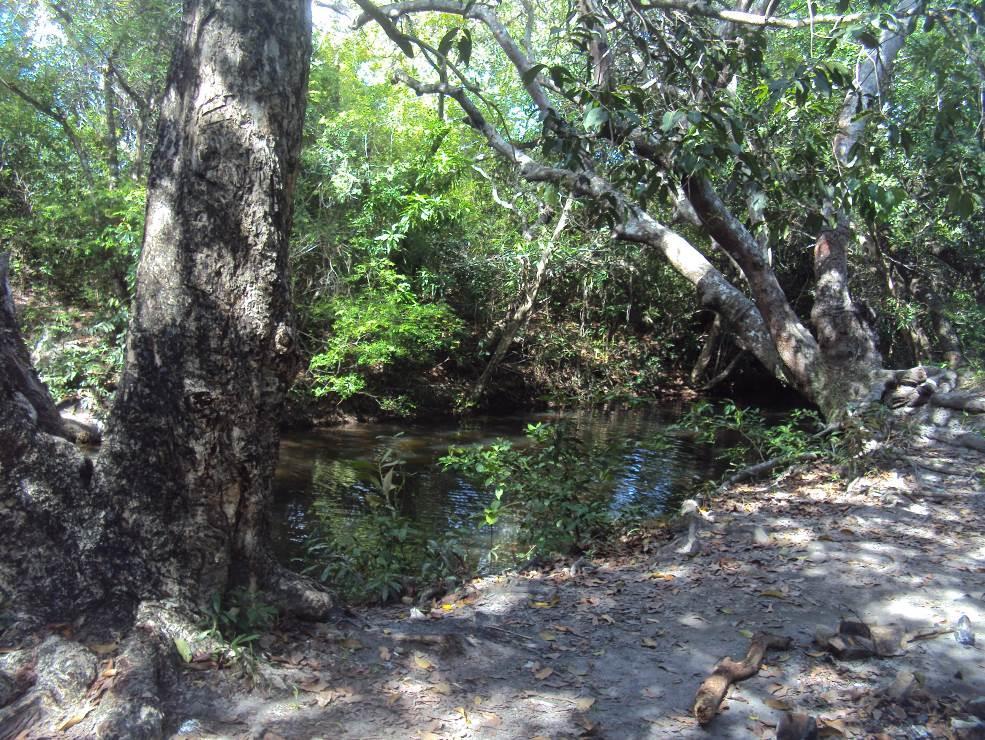 ESTAÇÃO DE MONITORAMENTO PI-08 Localizada na saída da Lagoa do Jiqui (rio Pitimbu) e inserida no interior da área da EMPARN (Empresa de Pesquisas Agropecuárias do RN), esta estação apresentou-se