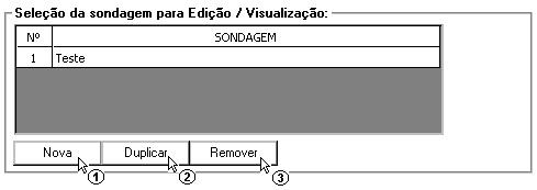 (1) clique para adicionar mais um perfil de sondagem; (2) clique para duplicar um perfil de sondagem atual; (3) clique para eliminar o perfil de sondagem atual.