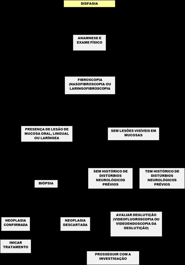 ORGANOGRAMA PARA