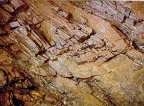 33 Rochas do Aquífero Cristalino unidade Pré-Cambriana