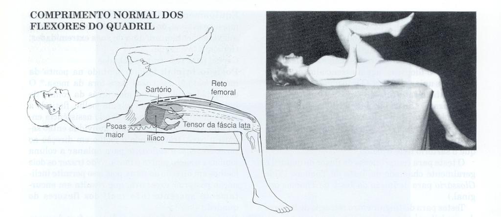 umeral Teste