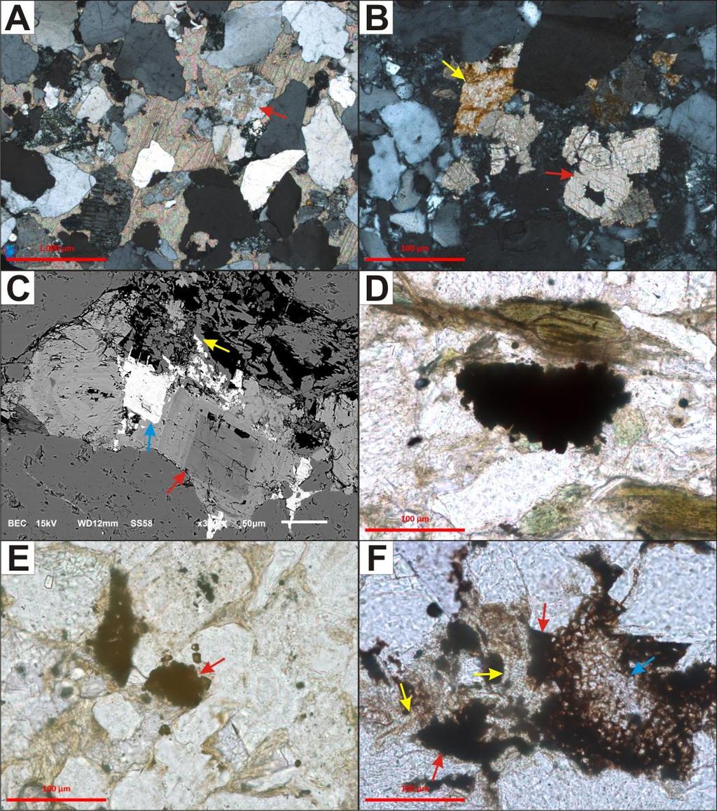 46 Figura 13: Feições diagenéticas de menor ocorrência nos arenitos da Bacia do Pará- Maranhão.