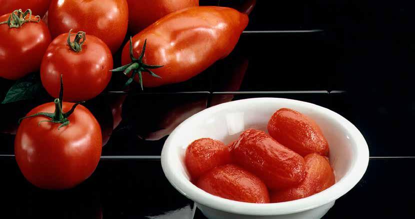 grandes quantidades de tomates condições