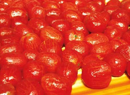 Além disso, possibilita condições diversificadas de descascamento: Os tomates são escaldados por meio de