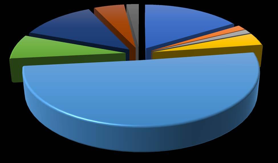 COMPOSIÇÃO DO CUSTO TOTAL DE CAPITAL 12,31% ISS 5,00% INSS (Cont Desoneração Folha) 2,00% COMBUSTIVEL 16,13% LUBRIFICANTES 1,50% CUSTO ADMINISTRATIVO 7,34% RODAGEM 1,27% PEÇAS E
