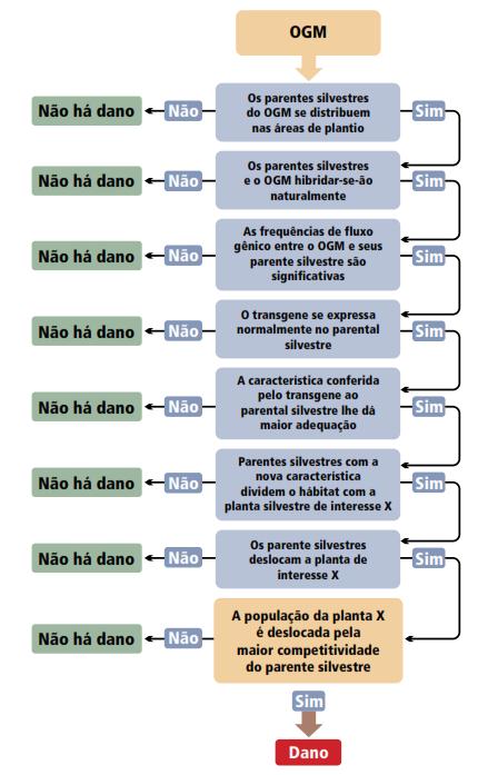 A rota ao dano devido ao fluxo de genes e à