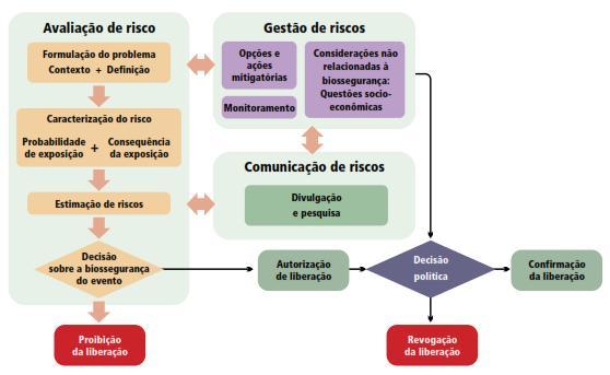 Análise de Risco Conselho