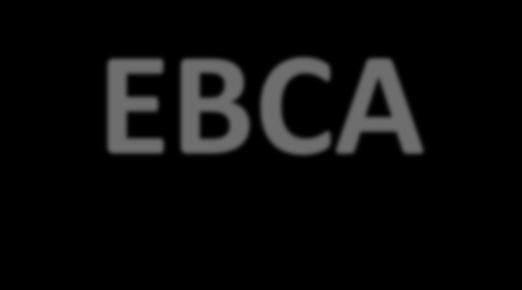 INTEGRANTES CBPA-EBCA Nadia C. Lângaro, Marcelo T. Pacheco, Antônio C. de Oliveira, Carlos R. Riede, Klever M. A. Arruda, Juliano L. de Almeida, Rudimar Molin, Marcos Carraffa, Clóvis A.