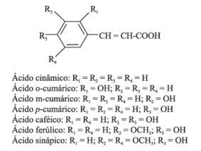 28 comum. Entre os derivados do ácido cinâmico (Figura 5) podemos citar os ácidos pcumárico, caféico, ferúlico e sinápico.