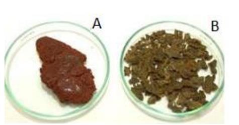 38 Figura 14: Principais compostos presentes na própolis verde Fonte: Fianco (2014, p. 18). A Figura 15 apresentará uma amostra de Própolis Vermelha (A) e Própolis verde (B).