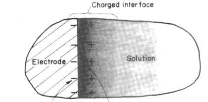 A formação da região interfacial elétrica pode ser descrita nas seguintes etapas: Indução de carga na interface do lado do metal Desenvolvimento da diferença de potencial interfacial Separação de