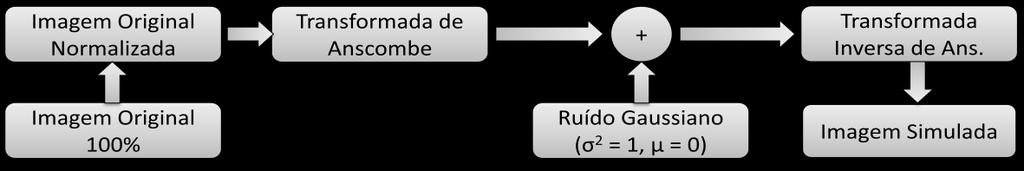 18 Até este ponto, o método proposto é extremamente similar ao método apresentado na seção 3.1. Entretanto, a partir deste passo a metodologia proposta faz uma abordagem alternativa para a inserção de ruído, fazendo uso da transformada de Anscombe (AT Anscombe Transformation).