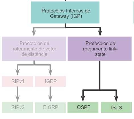 Operação do protocolo de roteamento link-state