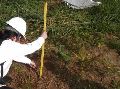 Sobrevivência Variáveis preditoras: -Grupos ecológicos