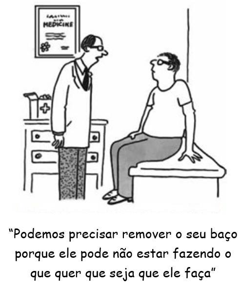 INTRODUÇÃO Maior órgão linfático único do corpo Constituído por polpa vermelha e polpa branca Funções: Hematológica: Hemocaterese