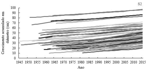 76 Figura 8 - Incremento anual acumulado em diâmetro nos dois sítios amostrados para Araucaria angustifolia Fonte: Elaborado pela própria autora, 2017.