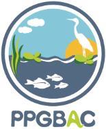 O Coordenador do Programa de Pós-Graduação em Biologia de Ambientes Aquáticos Continentais (PPG-BAC), no uso de suas atribuições e em conformidade com as atribuições previstas no RGU-Universidade