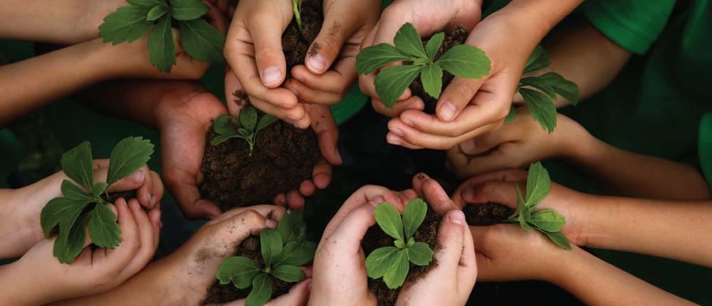 Política Programa de de Responsabilidade Integridade Socioambiental Lei Anticorrupção 1. Definição Estabelecer os critérios socioambientais adotados pelo Banco Fibra S.A. ( Banco Fibra ou Banco ) em seu processo de gestão de risco de clientes.