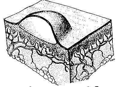 (exsudato) diâmetro de até 0,5 cm (ex.