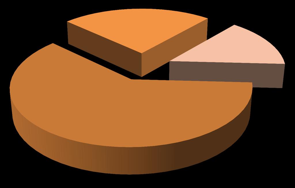 Números dos Leilões Total Negociado nos Leilões por Fonte de