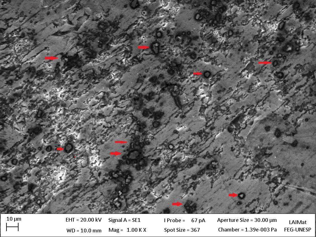 e 9. Figura 8. Imagem obtida por microscópio de varredura da liga de Alumínio AA5083 após o ensaio potenciodinâmico (1000x). Figura 9.