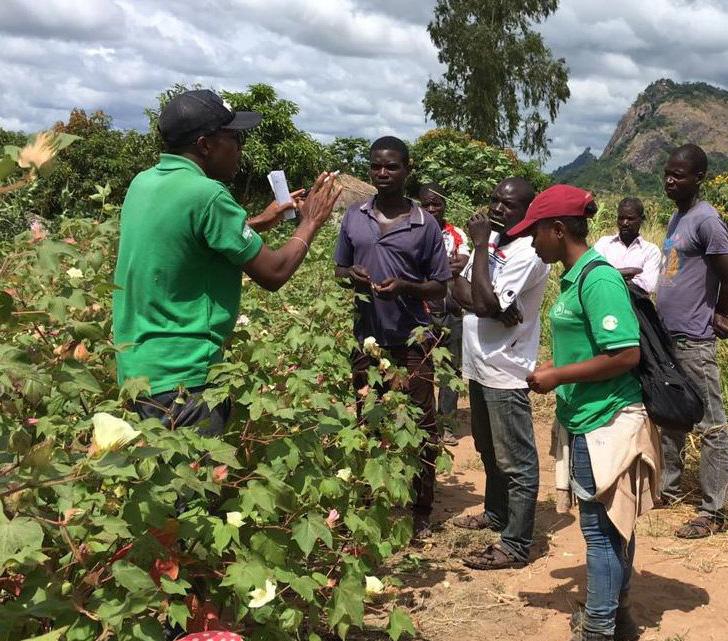As casas vão funcionar como a loja de venda de insumos agrícolas e capacitação aos pequenos produtores, financiamento do governo moçambicano, através do Fundo Catalítico para Inovação e Demonstração