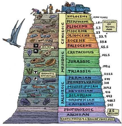 Evolução da agricultura e tecnologia 200.000 anos atrás Seres humanos na Terra 10.000 anos: Nomades -> Sedentarios (1ª.