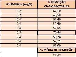 Tabela 23: Porcentagem de