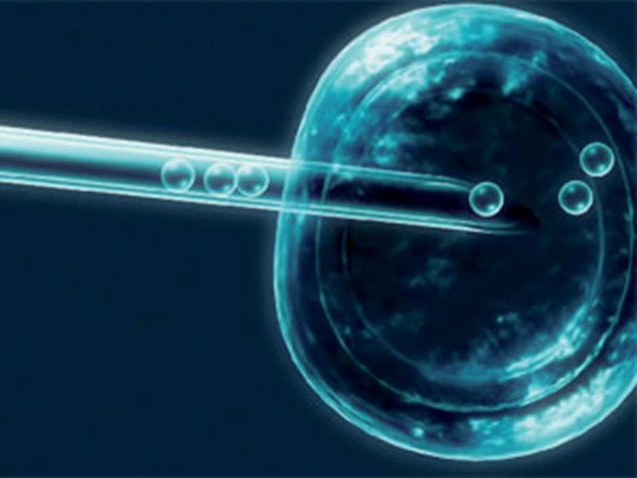 III - Inseminação artificial Reprodução humana assistida Fertilização in vitro Resolução CFM n. 2.