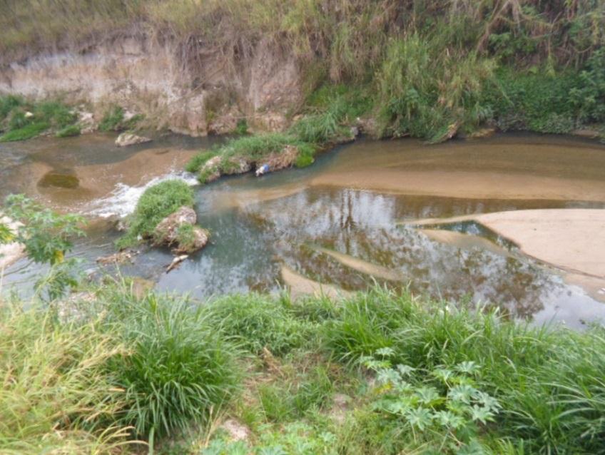 Depois fomos a duas partes do rio Buquira, na primeira parte havia: mata ciliar, areia, água meio verde, é um rio bem mais cheio do que o Vidoca, pouca correnteza, cheiro de