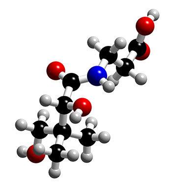 IA* (µg) 1.7 1.8 2 3 4 4 6 6 6 7 7 7 B6 (Piridoxina) Função: é indispensável em muitos processos bioquímicos complexos, mediante os quais os nutrientes são metabolizados no organismo.