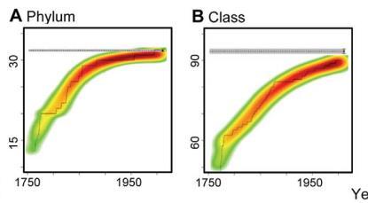 Gandara e Marina Melo Uso de extrapolações para estimar o número de phyla e classes Uso de