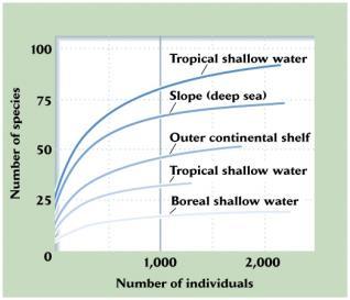 Sanders (1969): comparou a diversidade de bivalves e poliquetos controlando o tamanho da amostra