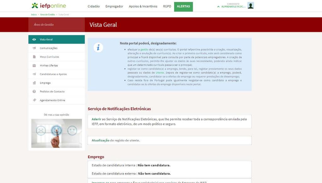 16. Depois de estar dentro da área de gestão, deverá selecionar a opção Candidaturas a Apoios para aceder ao formulário de candidatura. D. Já está Registado no Portal iefponline 17.