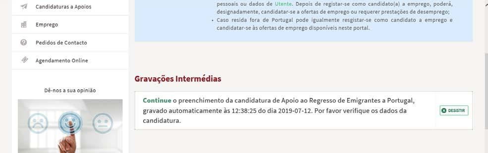 27. Concluída a inserção de todos os elementos, pode submeter a sua candidatura.