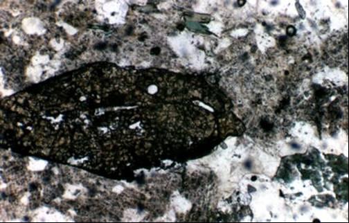 67 TITANITA TITANITA 170 μm TITANITA 80 μm FOTOMICROGRAFIAS 10 e 11: Seções delgadas do fácies híbrido do Plúton Puxinanã, de composição Biotita Granodiorito e