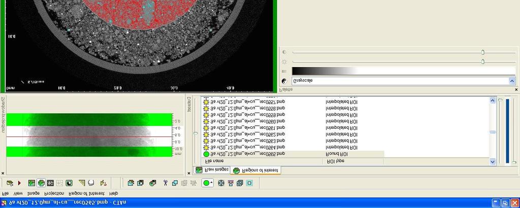 65 Figura 15 - Tela do software CTAn da SkyScan com exemplo de região de interesse (ROI) selecionada para análise A porosidade foi obtida por meio do
