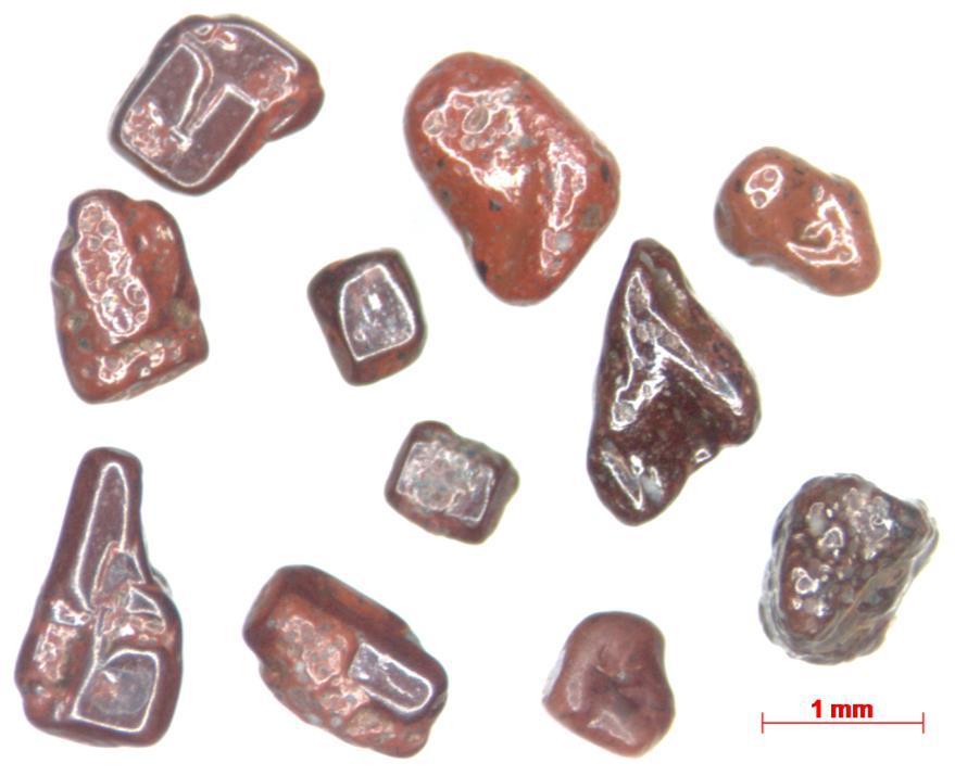 28 Figura 20 - Fotomicrografia de grãos recobertos por uma capa hematítica na praia do