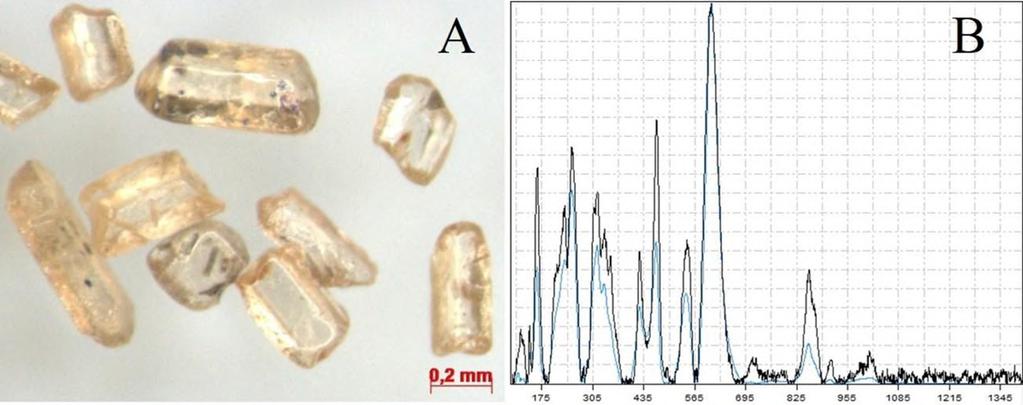 31 Figura 24 - A fotomicrografia de grãos de titanita da praia dos Cabritos; B o espectro em preto adquirido de um grão de titanita por espectroscopia Raman e em azul, o espectro da titanita do banco