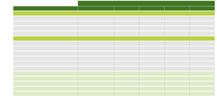 DÍVIDA LÍQUIDA (R$ mil) Aplicados no imobilizado Finame - BNDES Fundos Constitucionais Financiamento de Investimentos Aplicados no Capital de Giro Crédito Rural Fundos Constitucionais Capital de Giro