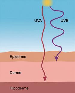 Raios UVA e UVA