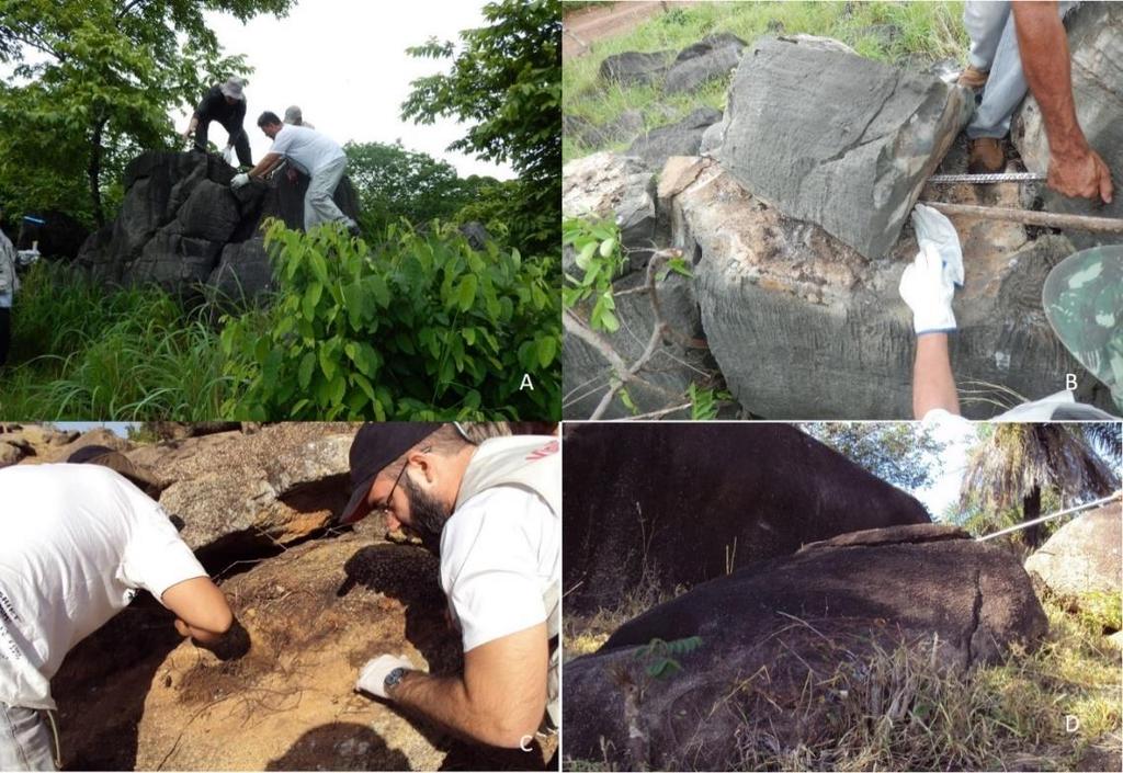 A busca ativa nos afloramentos rochosos e no peri-domicílio foi realizada com o auxílio de agentes de saúde de cada município estudado e três pesquisadores.