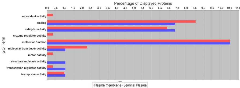 membrana plasmática de espermtozoides equinos