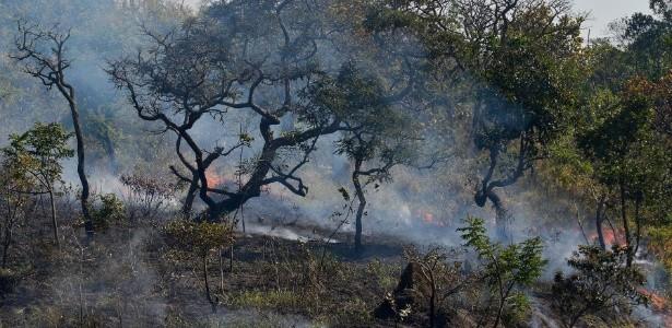 as plantas da região. o aquecimento do clima. QUESTÃO 14 Na separação seletiva de lixo a ser descartado, o recipiente de cor azul destina-se à coleta de metais. vidros.