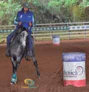 ÍNDICE 24 26 28 PALAVRA DO PRESIDENTE COLUNA - REINALDO DA ROCHA LEÃO FARM TOUR DA NACIONAL 2019 32 INTERESTADUAL 47 20ª EXPOGRANDE 61 72 SÃO JOÃO 84 MATO GROSSO 94 102 106 PERFORMANCE 108 CORRIDAS